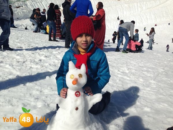 jabalelskheikhlud (17).JPG